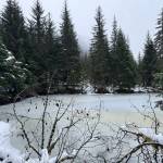 A semi-frozen pond along the Nugget Falls Trail on Dec. 24. (Photo by Deana Barajas)