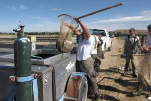 U.S. Fish and Wildlife Service officials work at the Ouray National Fish Hatchery in Utah. (Photo provided by U.S. Fish and Wildlife Service)
