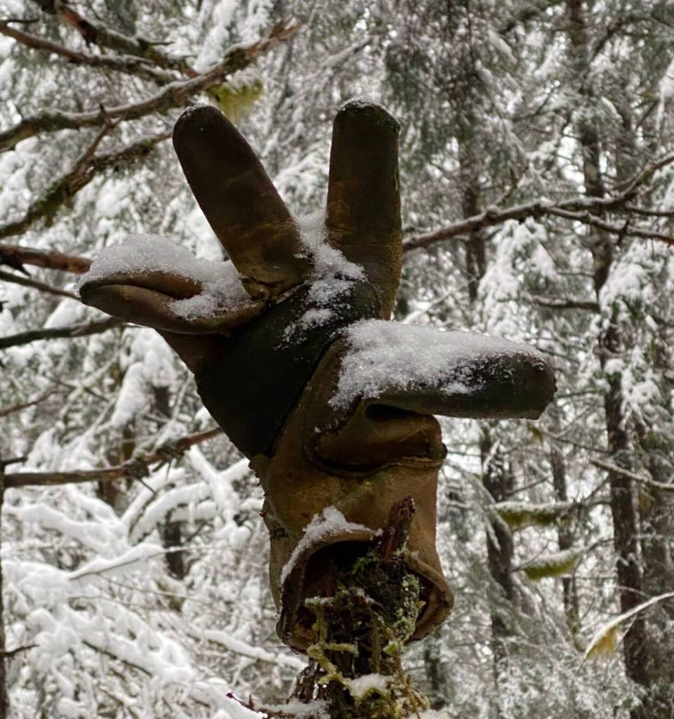 A waving glove greets hikers on the biking path off the West Glacier Trail on Dec. 16.