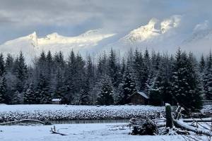 Sun on the peaks from the Boy Scout Beach Trail on New Years Day. (Photo by Deborah Rudis)