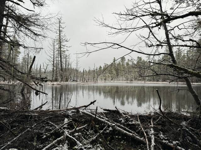 A pond along the Outer Point Trail on Jan. 2. (Photo by Deana Barajas)