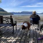 Mickey Prescott and dogs watch for fish jumps in Wrangell. (Photo by Vivian Faith Prescott)