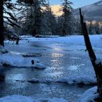 Photo by Denise Carroll
Frozen surface on a Cowee Creek slough on Jan. 6.