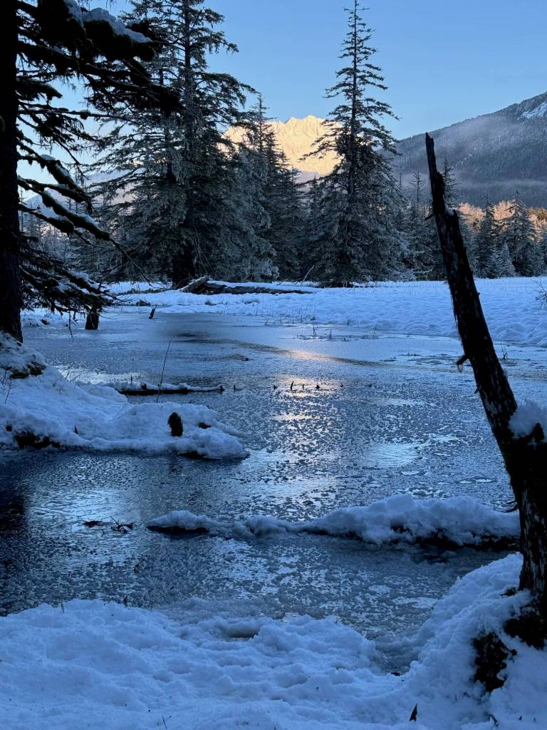 Photo by Denise Carroll
Frozen surface on a Cowee Creek slough on Jan. 6.