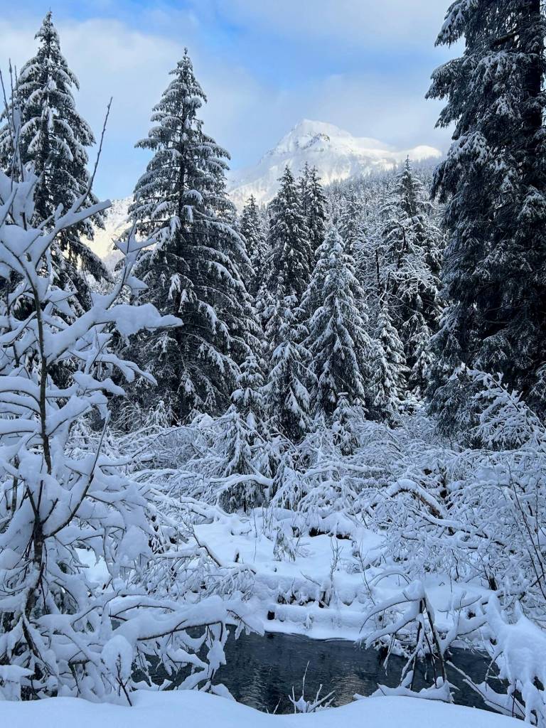 New snow on Mount McGinnis from Montana Creek Road on Jan. 9. (Photo by Deborah Rudis)