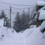 Cars and a hillside street in downtown Juneau are buried under thick snow from a storm that began Sunday and is expected to continue until Tuesday. (Mark Sabbatini / Juneau Empire)