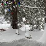 Holiday lights remain strung in a backyard covered with record snowfall a month after Christmas. (Photo by Peggy McKee Barnhill)