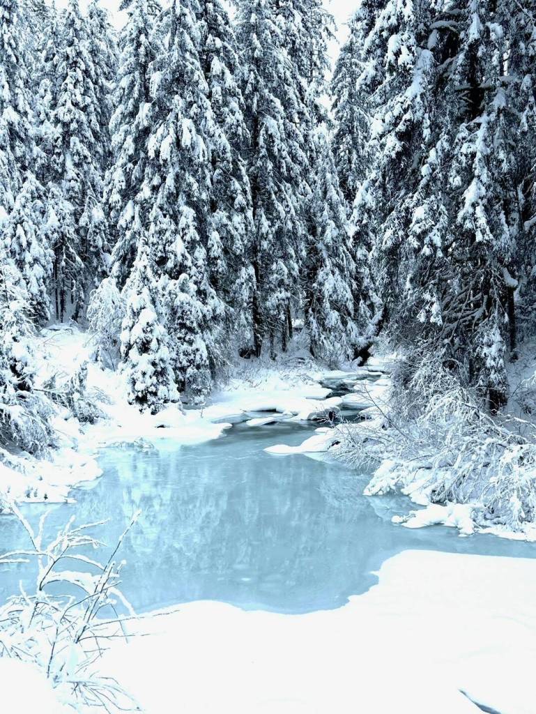 A winter pond along Montana Creek on Jan. 20. (Photo by Denise Carroll)