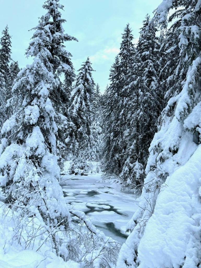 Montana Creek under blue skies on Jan. 20. (Photo by Denise Carroll)