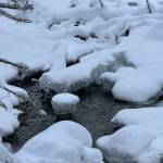 Snow makes a mystery of whats safe to cross in the stream along the Montana Creek Trail on Jan. 21. (Photo by Deana Barajas)