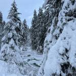 Patches of open water are seen under the snow cover along the Montana Creek Trail on Jan. 21. (Photo by Deana Barajas)