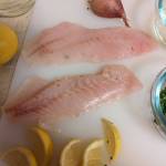 Rockfish fillets ready for cooking. (Photo by Patricia Schied)