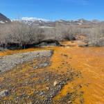 Josh Koch took this photo of the Kugororuk River in northern Alaska in June 2023. The orange stream color reflects oxidized iron, but also often indicates elevated heavy metal concentrations. (Photo by Josh Koch)
