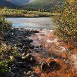 A tributary of the Akillik River in Kobuk Valley National Park in August 2018 after it had turned rusty orange. (Photo by Jon ODonnell)