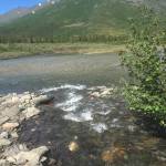 A tributary of the Akillik River in Kobuk Valley National Park in 2017 before it turned rusty orange. (Photo by Jon ODonnell)