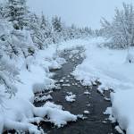 A gentle brook in a snowy paradise off the trail to Nugget Falls on Feb. 3. (Photo by Denise Carroll)