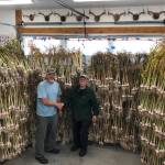 Joe Orsi (left) and Sam Bertoni stand next to a 3,000-plus garlic bulb harvest in Juneau in late summer of 2023. (Photo courtesy of Joe Orsi)