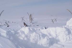 (Photo courtesy of the University of Alaska Southeast)