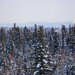 Smokestack emissions into Fairbanks atmosphere are seen on March 1, 2023, from the University of Alaska Fairbanks campus. (Yereth Rosen/Alaska Beacon)