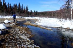 Forest Wagner visits Kanuti Hot Springs, located in Interior Alaska not far from the Arctic Circle. (Photo by Ned Rozell)