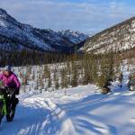 Hydrologist Heather Best rides her fat bike in the White Mountains National Recreation Area north of Fairbanks. (Photo by Ned Rozell)