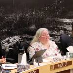 Angie Flick (center), finance director for the City and Borough of Juneau, presents an overview of local property value assessments during a meeting of the Assemblys Finance Committee on Wednesday night. (Mark Sabbatini / Juneau Empire)