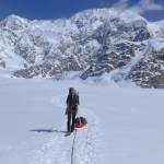Kara Haeussler skis back to an airstrip on Kahiltna Glacier in 2014 with Denali in the far background and the Kahiltna Peaks in the foreground right. (Photo by Peter Haeussler)