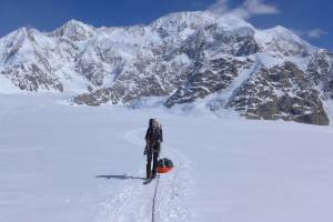 Kara Haeussler skis back to an airstrip on Kahiltna Glacier in 2014 with Denali in the far background and the Kahiltna Peaks in the foreground right. (Photo by Peter Haeussler)