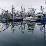 Fishing boats are lined up on Oct. 3, 2022, at a dock at Kodiaks St. Paul Harbor. Alaskas fishing industry is being battered by competition from vast quantities of Russian fish, inflation that has reduced seafood demand and other factors. State legislative leaders are proposing a task force to come up with some policy responses to help the industry and those who depend on it. (Yereth Rosen/Alaska Beacon)