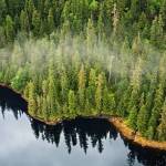 Tongass National Forest (Photo by U.S. Forest Service)