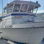 The Adventure Bound tour vessel, docked in Aurora Harbor, is one of two tour boats formerly operated by Adventure Bound Alaska being offered by the city in a sealed-bid auction scheduled next Wednesday. (City and Borough of Juneau)