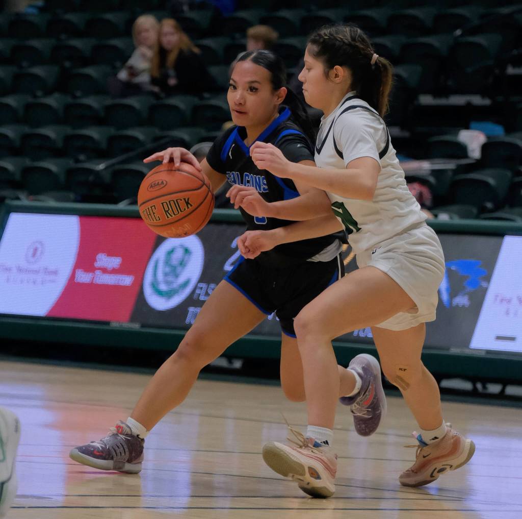 Thunder Mountain High School senior Jaya Carandang (3) dribbles under pressure from Colony junior Alycia Shelley (11) during the Falcons 69-35 semifinal loss to the Knights at the 2024 ASAA March Madness Alaska 4A Girls Basketball State Championships on Friday at Anchorages Alaska Airlines Center. (Klas Stolpe / For the Juneau Empire)