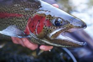 Compromise isnt always possible, but when it is Alaskans benefit greatly when posturing is replaced with good-faith negotiations that yield results that help Alaskans. (Photo by Jeff Lund)