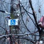 Items left behind at Mill Campground last summer are displayed in a tree on Wednesday. (Mark Sabbatini / Juneau Empire)
