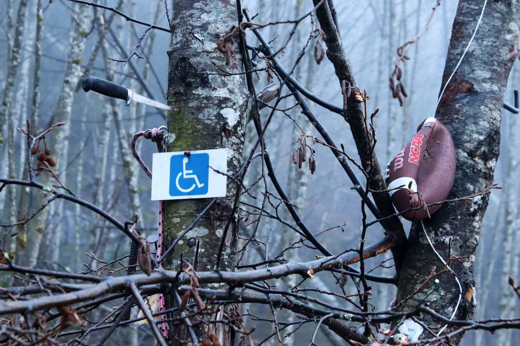 Items left behind at Mill Campground last summer are displayed in a tree on Wednesday. (Mark Sabbatini / Juneau Empire)