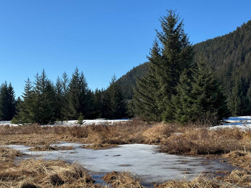 Along the Point Bridget Trail on March 24. (Photo by Deana Barajas)