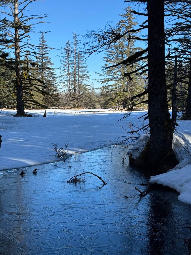 A stream ready for spring breakup along the Point Bridget Trail on March 24. (Photo by Deana Barajas)