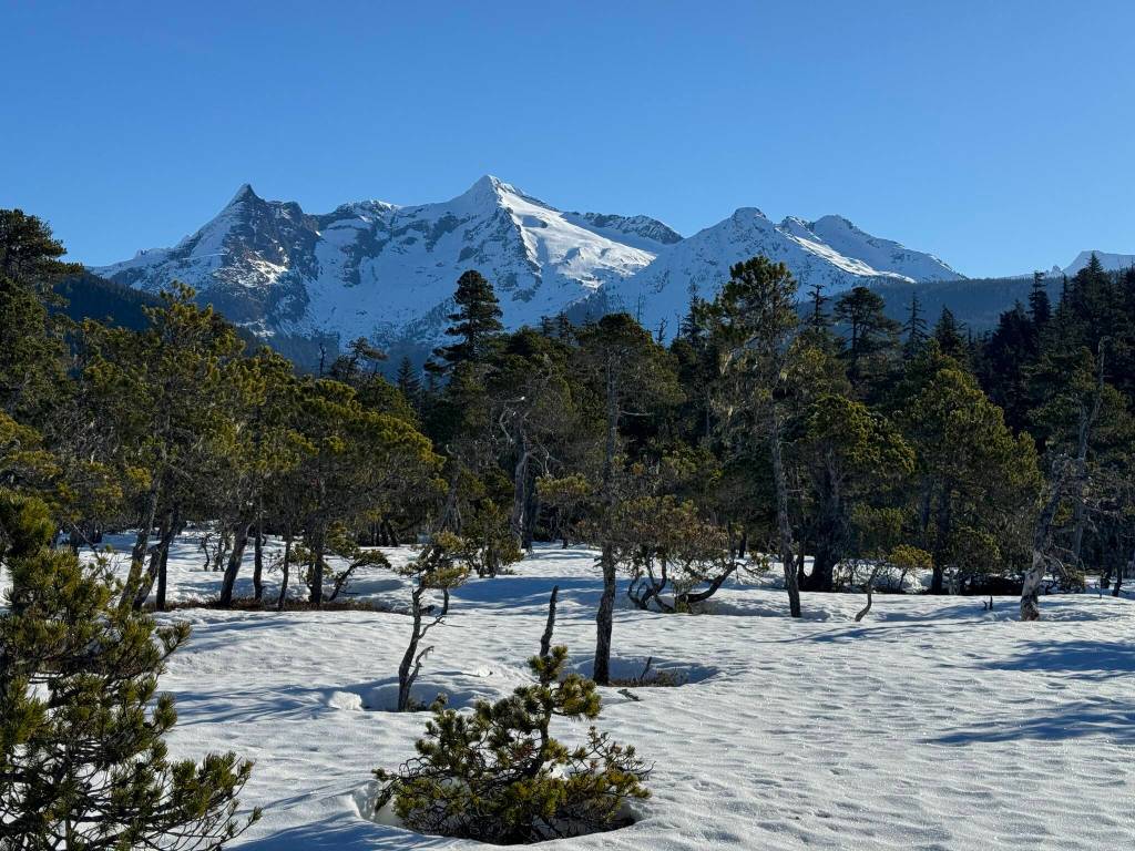 A wide view from the Point Bridget Trail on March 24. (Photo by Deana Barajas)