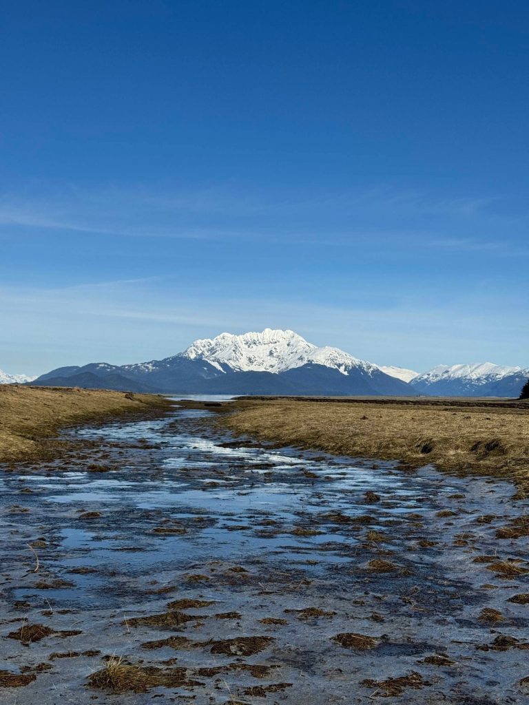 Lions Head mountain seen from the Point Bridget Trail on March 24. (Photo by Deana Barajas)