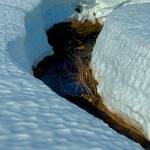 Still lots of snow in the meadow above Dan Moller Cabin on March 20. (Photo by Denise Carroll)