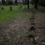 Headstones, some belonging to those who died at Morningside Hospital, are seen in Multnomah Park Cemetery on Wednesday, March 13, 2024, in Portland, Ore. Cordingley has volunteered at his neighborhood cemetery for about 15 years. Hes done everything from cleaning headstones to trying to decipher obscure burial records. He has documented Portland burial sites  Multnomah Park and Greenwood Hills cemeteries  have the most Lost Alaskans, and obtained about 1,200 death certificates. (AP Photo/Jenny Kane)