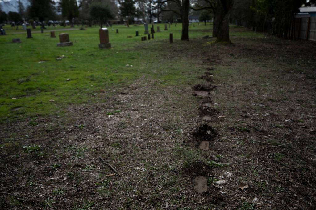 Headstones, some belonging to those who died at Morningside Hospital, are seen in Multnomah Park Cemetery on Wednesday, March 13, 2024, in Portland, Ore. Cordingley has volunteered at his neighborhood cemetery for about 15 years. Hes done everything from cleaning headstones to trying to decipher obscure burial records. He has documented Portland burial sites  Multnomah Park and Greenwood Hills cemeteries  have the most Lost Alaskans, and obtained about 1,200 death certificates. (AP Photo/Jenny Kane)