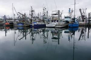 Fishing boats are lines up on Oct. 3, 2022, at a dock at Kodiaks St. Paul Harbor. Commercial fishing injuries and illnessness are not covered by workers compensation, so a state-managed Fishermens Fund serves as backstop payor for medical costs. A newly passed bill, if signed by the governor, would increase maximum allowable payments from the fund. (Yereth Rosen/Alaska Beacon)