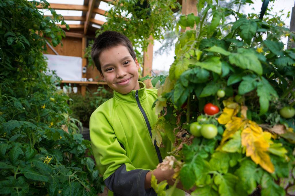 Ted Elliott shows off fresh tomatoes in Moby the Mobile greenhouse during his younger years. (Photo by Bethany Sonsini Goodrich)