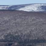 Two sounding rockets, lower left, point toward the sky at Poker Flat Research Range north of Fairbanks. (Photo by Ned Rozell)