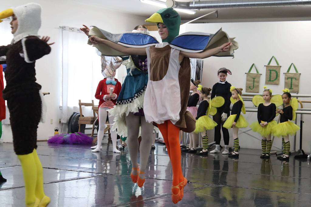 Sabine Auger takes flight as the duck during a rehearsal of Juneau Dance Theatres production of Alice in Wonderland on Saturday. (Mark Sabbatini / Juneau Empire)