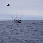 A troller plies the waters of Sitka Sound in 2023. (Photo by Max Graham)