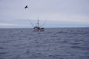 A troller plies the waters of Sitka Sound in 2023. (Photo by Max Graham)