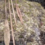 Paddles and spear shafts sit outside a cave on the Seward Peninsula in 2012 after being recovered by Jeanne Schaff, now retired from the National Park Service. (Photo by Jeanne Schaff)