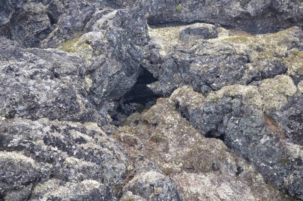An opening in the Lost Jim Lava Flow forms the entrance to a small cave where hunters cached kayak paddles and weapons on Alaskas Seward Peninsula. (Photo by Ben Jones)